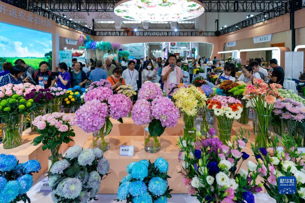 皇冠手机登录地址2